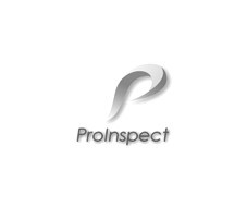 Clientes - ProInspect